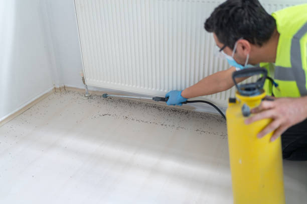 Best Mosquito Control Services  in Linntown, PA